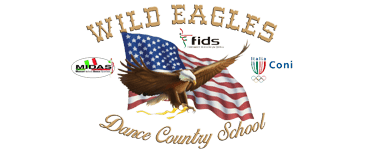 wild eagles